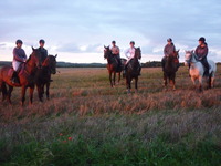 Les Ecuries du Val Fleuri