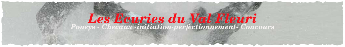 Les Ecuries du Val Fleuri